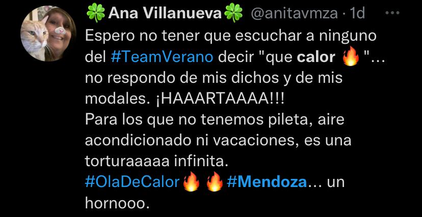 El calor se siente en Mendoza y quienes viven en la provincia tenían mucho que decir.