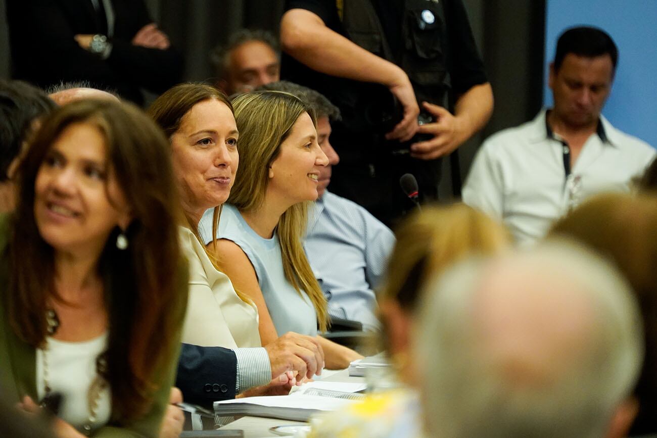 Ley Ómnibus de Javier Milei en el Congreso. Diputados. (Gentileza Clarín)