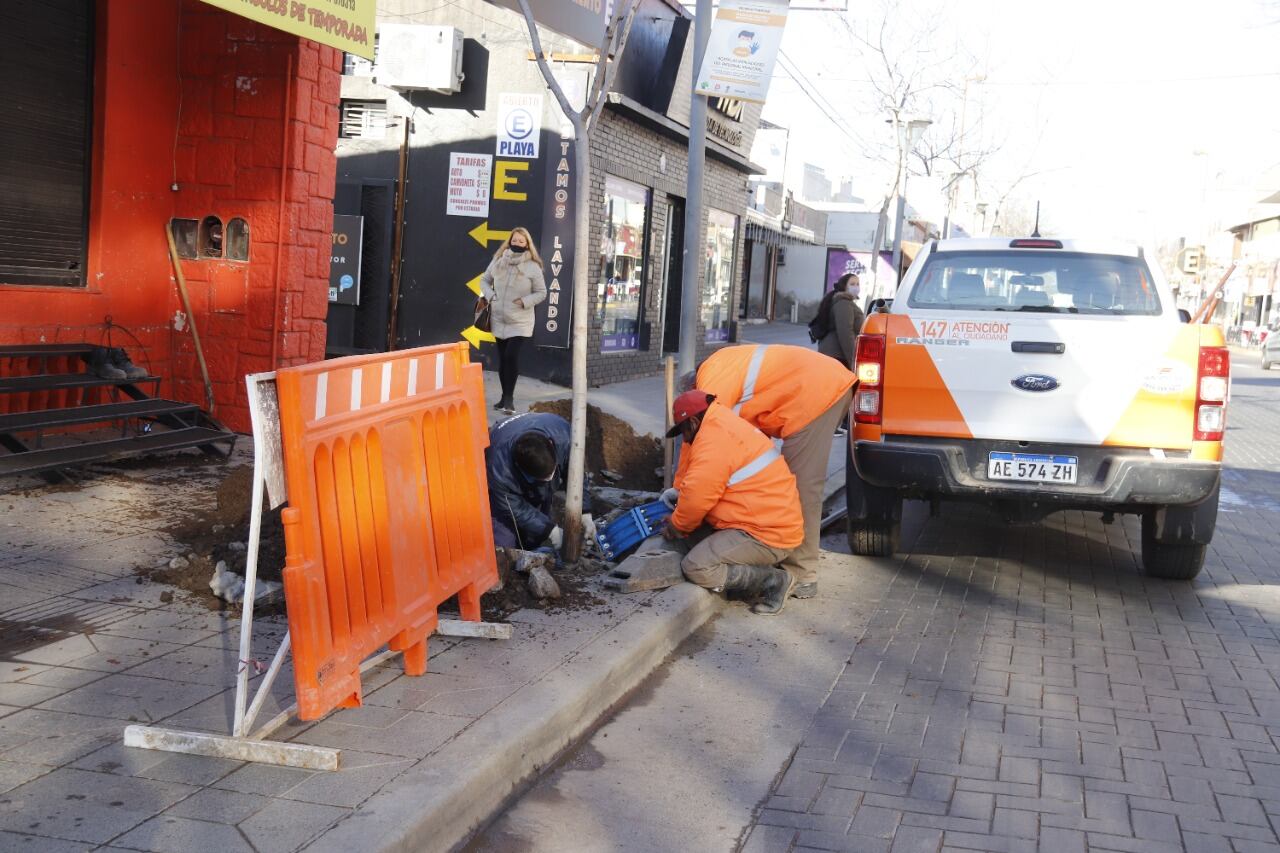 Servicio Municipal de Agua. Reparación de un caño averiado en el Centro Oeste.