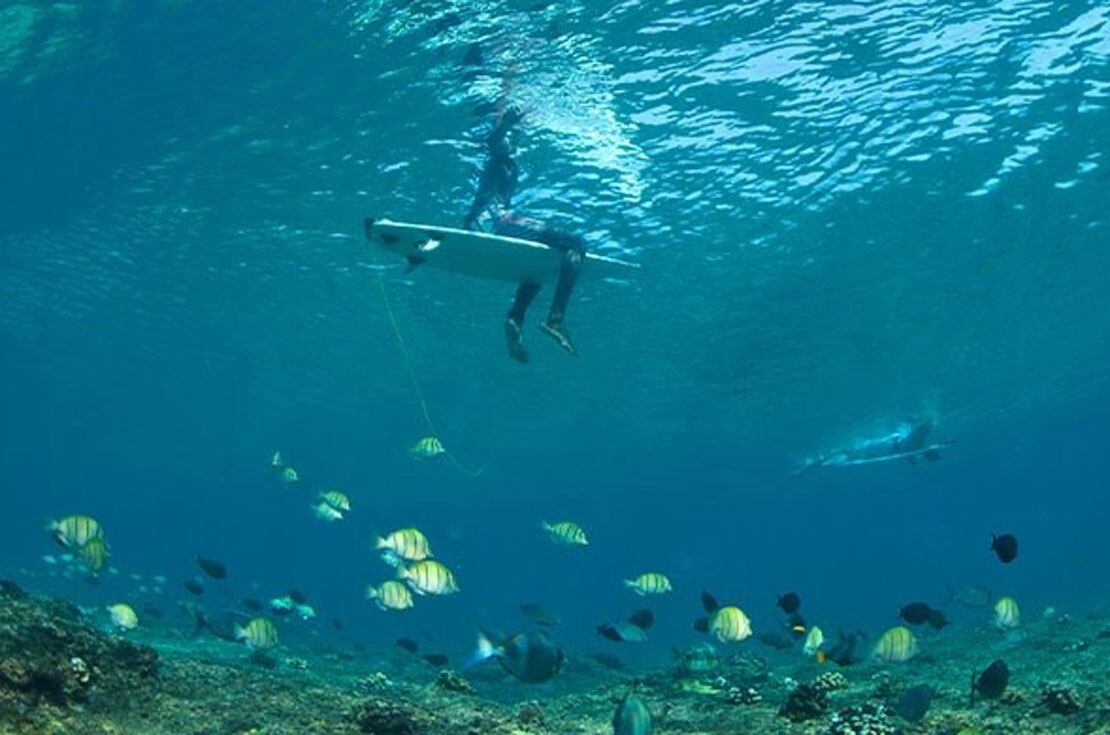 El joven habría preguntado dónde comprar una tabla de surf. (Macquarie University/Europa Press/DPA)