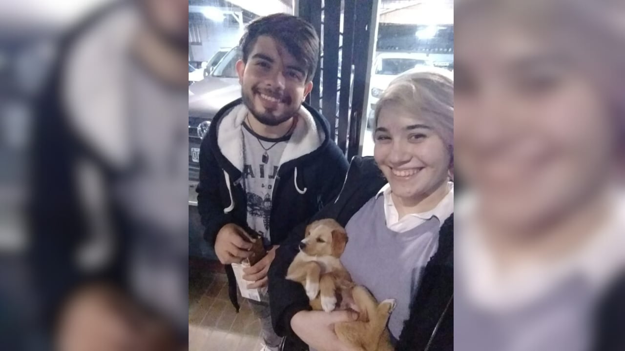 Una pareja sanjuanina hace un pedido desesperado para encontrar a su perrita que fue perdida tras una mudanza