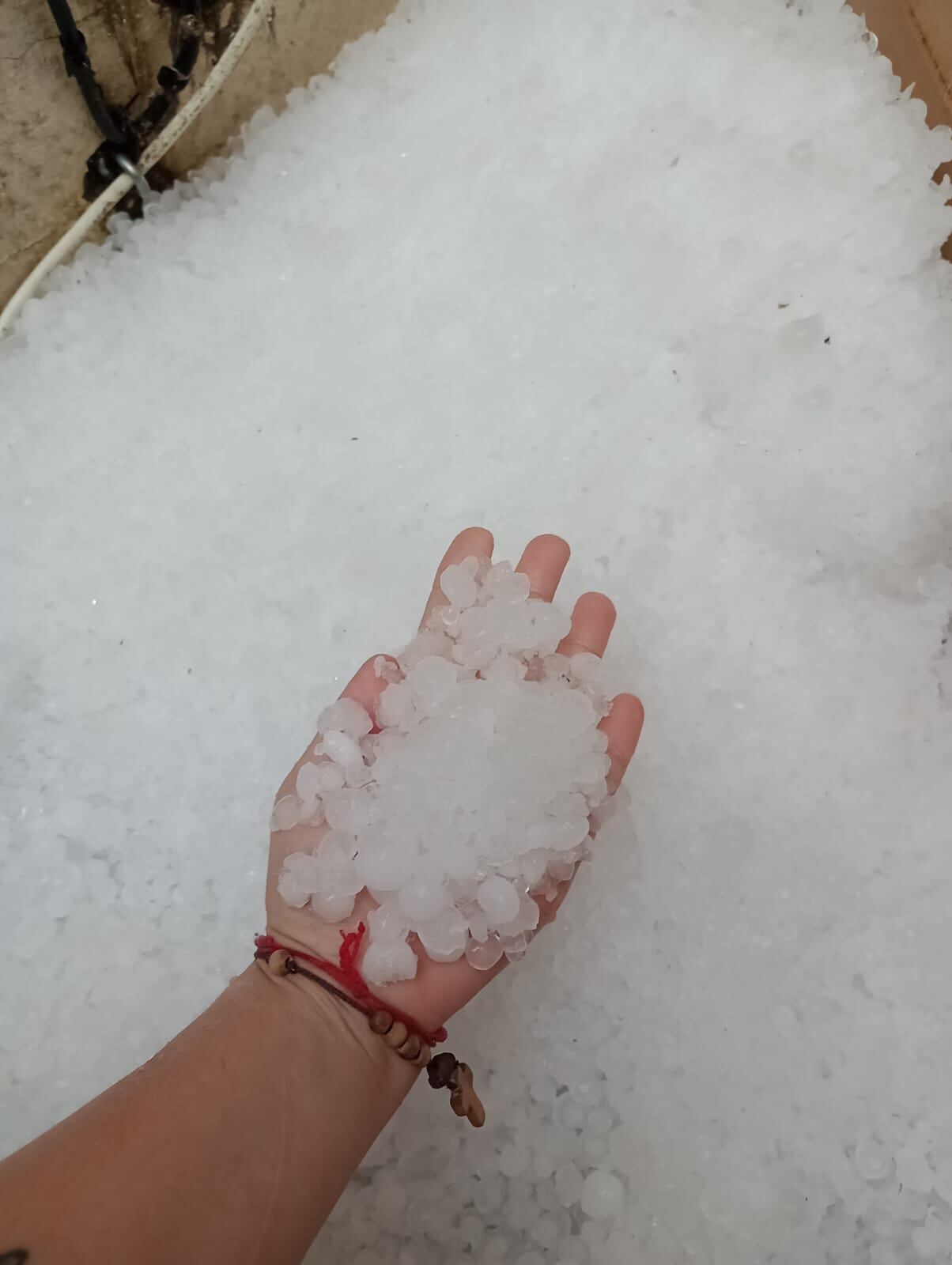 Una fuerte granizada azotó Tres Arroyos