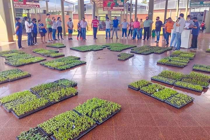 Productores de Eldorado recibirán plantines hortícolas.