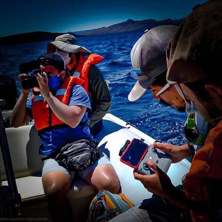 Se lograron captar imágenes submarinas del lago.