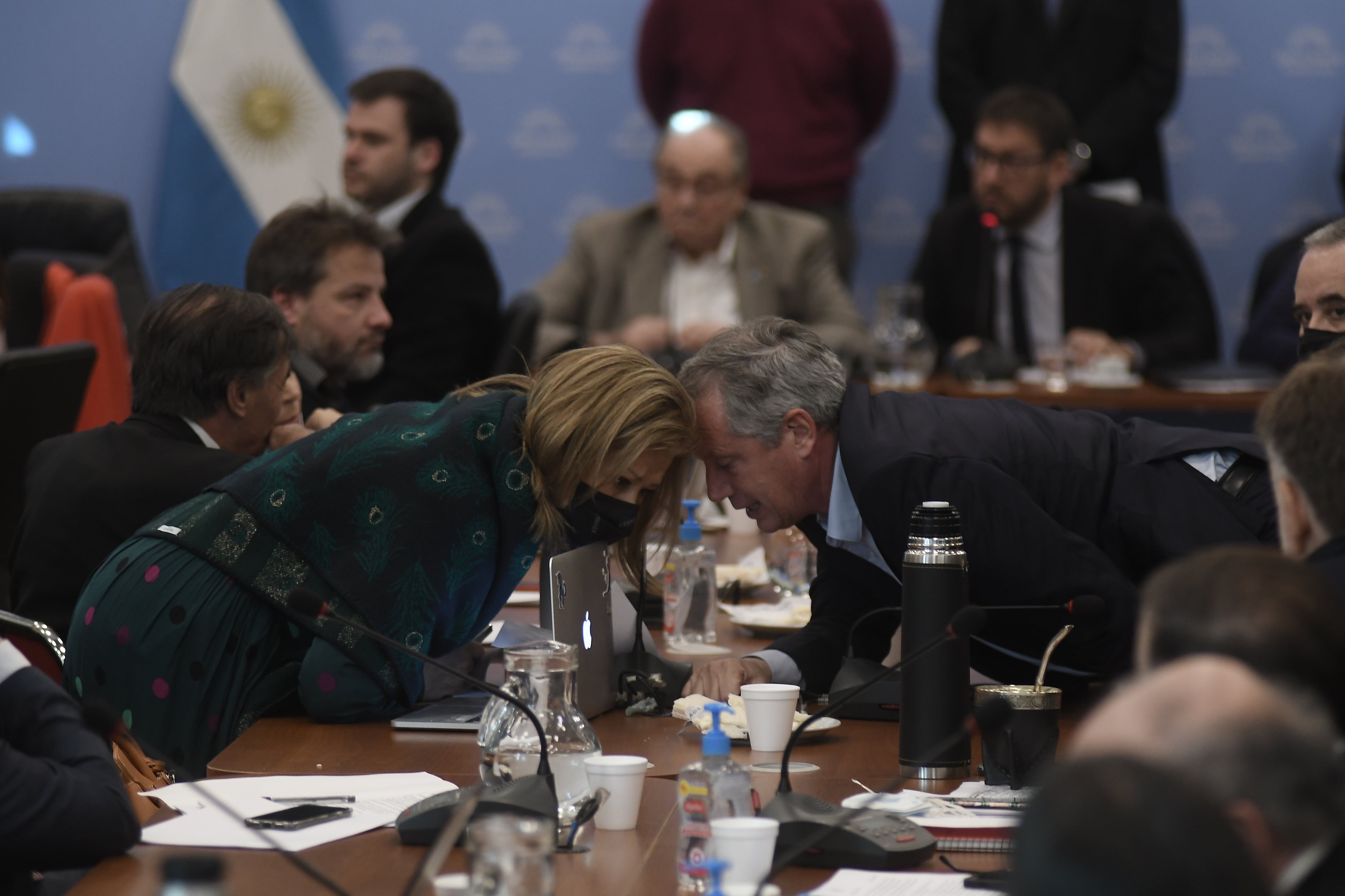 Los diputados Graciela Camaño y Emilio Monzó durante el debate (Foto Federico López Claro)