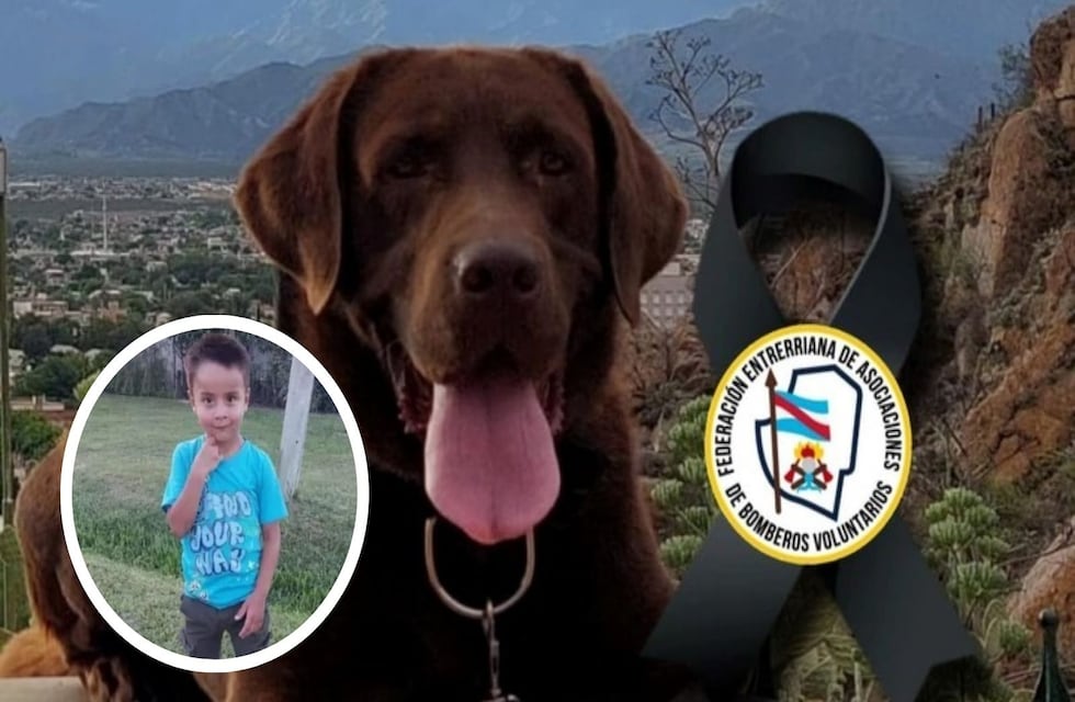 Murió Nerón, uno de los perros que encontró rastros de Loan tras su desaparición