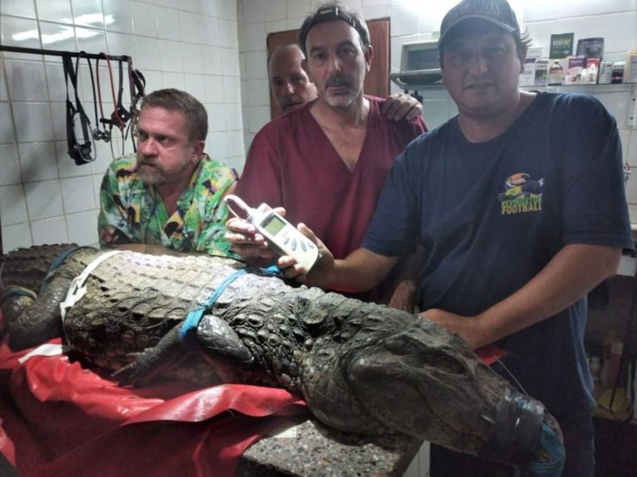 Federico y Cristian son dos veterinarios salteños que viajaron a Corrientes para ayudar a tratar a los animales afectados por los incendios.