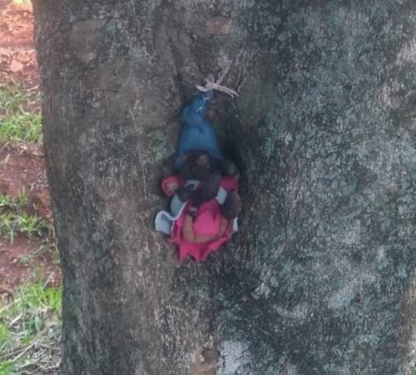 Preocupación en Posadas por “ofrendas” en el Jardín Botánico.