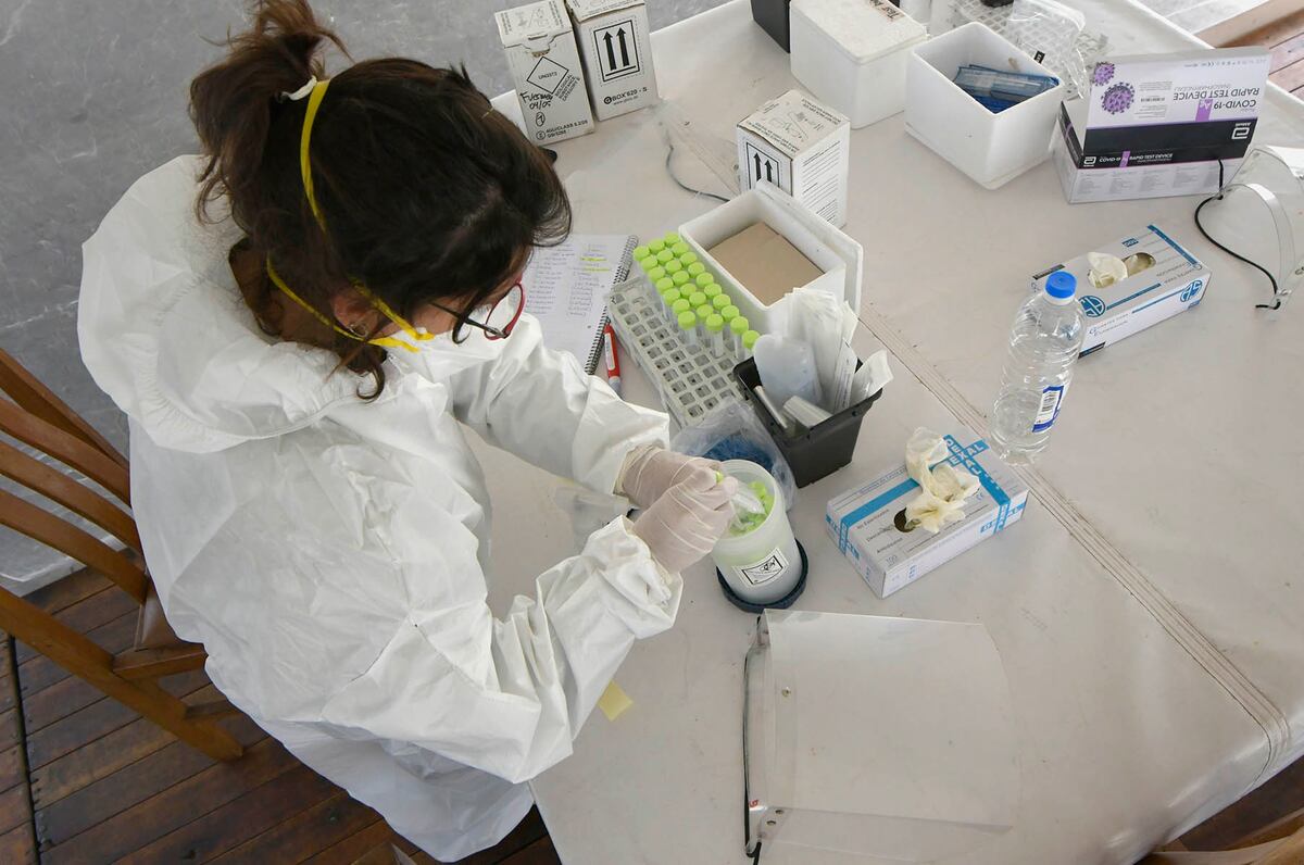 Coronavirus en Mendoza: este lunes se registraron 24 muertes y 801 casos positivos