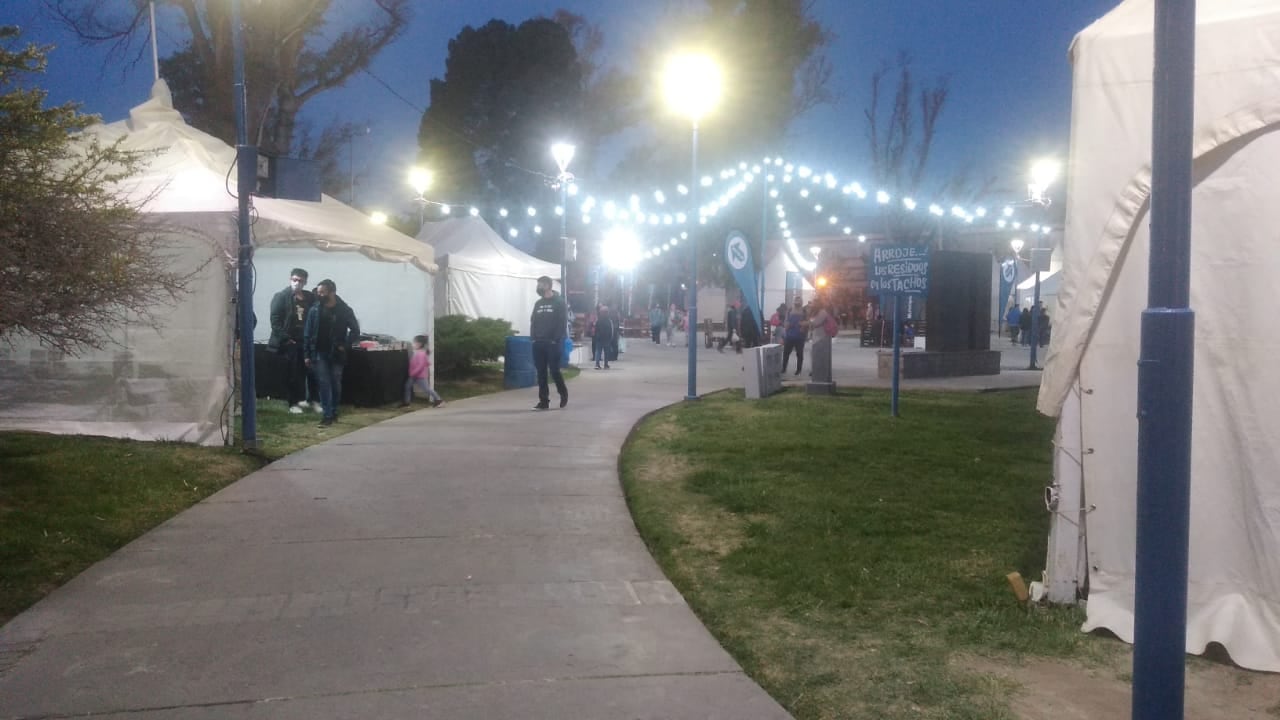 María Goicoechea presentó su novela en la Feria del Libro de General Roca