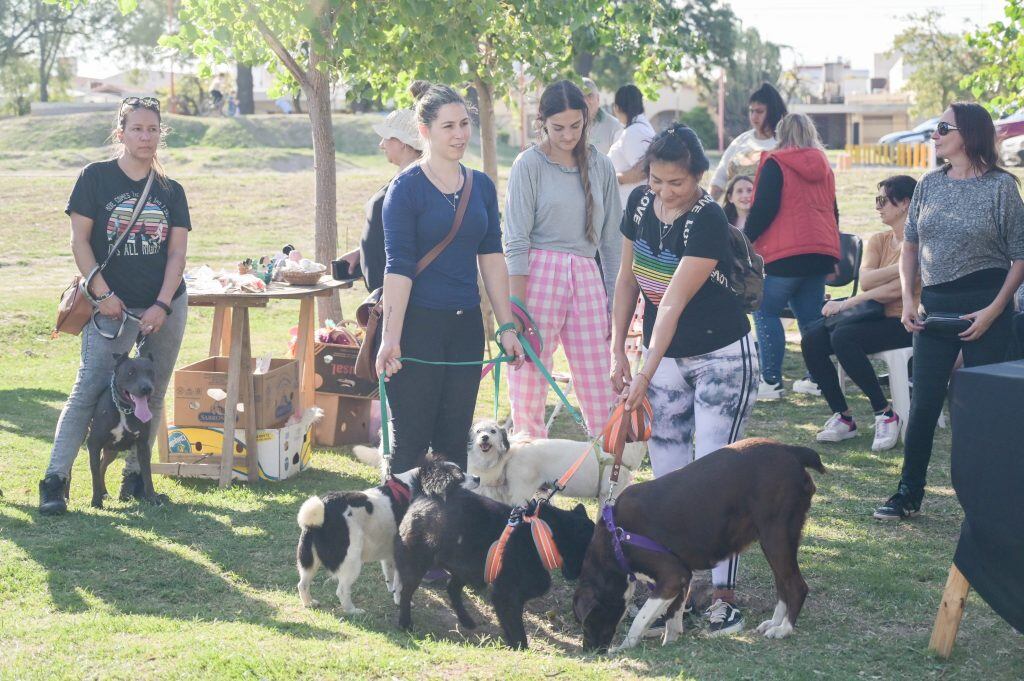 Día del animal en Arroyito 2023