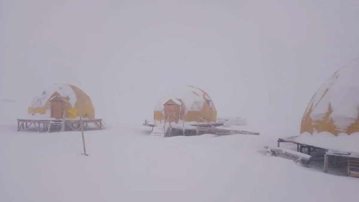 Llegó la primera nevada al sur mendocino.