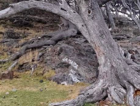 Tierra del Fuego: vandalizaron las Reservas Provinciales Río Valdez y Playa Larga