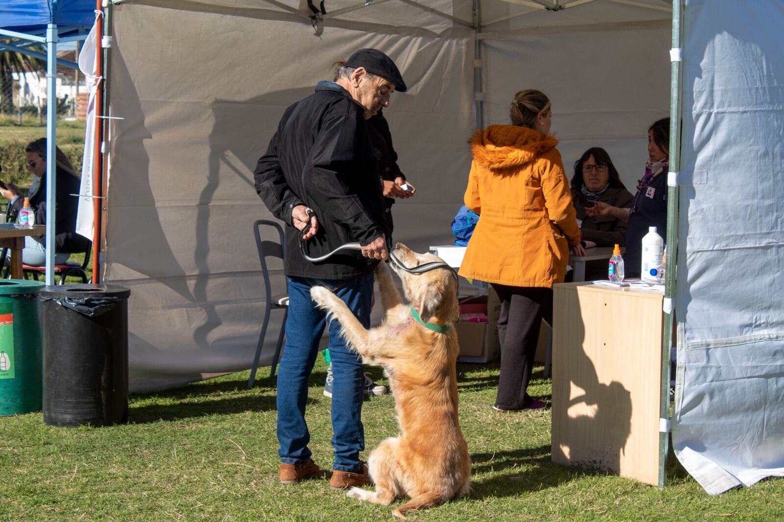 Primera jornada de actividades por el Día del Animal