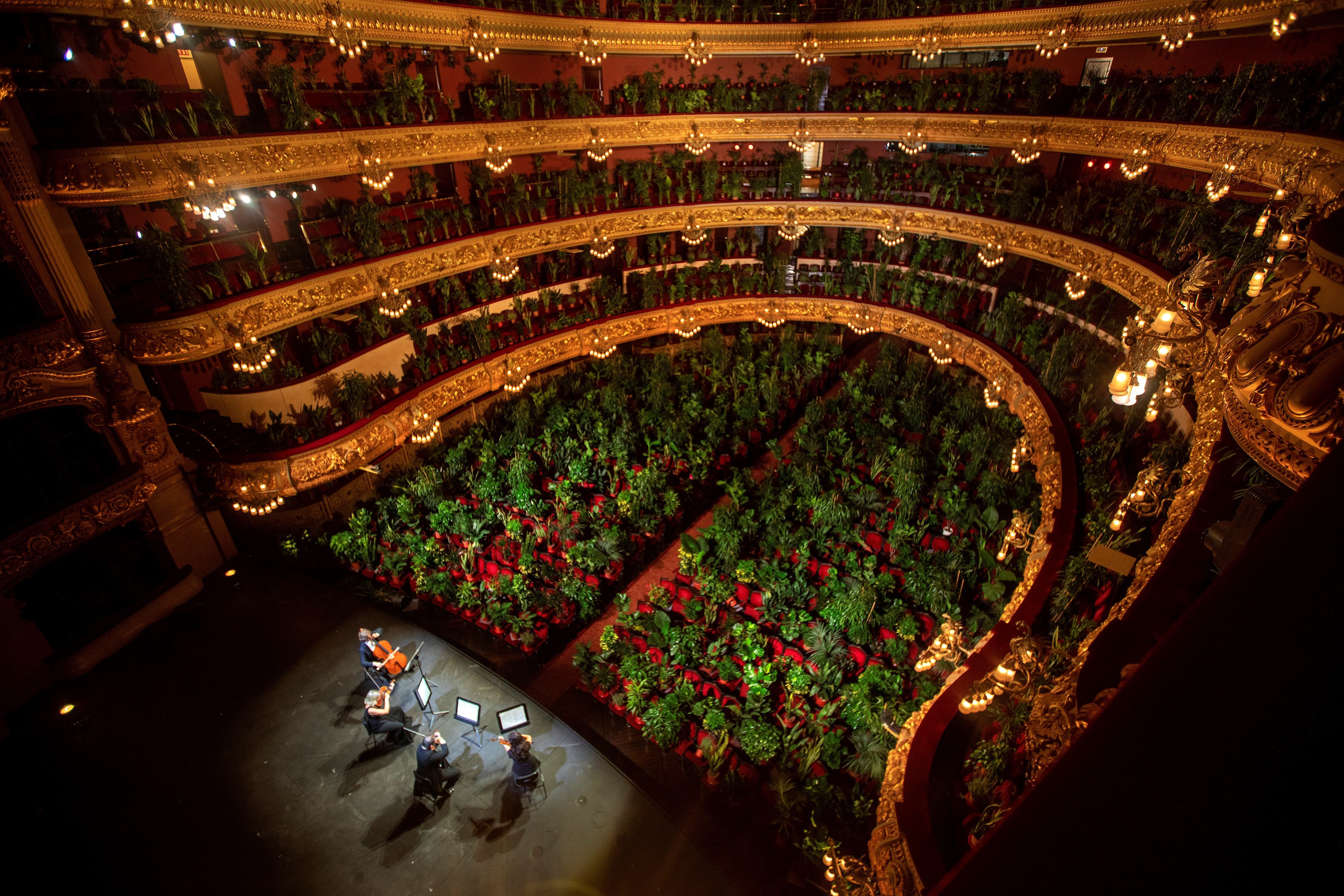 El Gran Teatre del Liceu, la ópera de Barcelona, reabrió el lunes para su primer concierto tras el cierre por el coronavirus ante una audiencia que no tenía que preocuparse del distanciamiento social. Foto Emilio Morenatti / AP