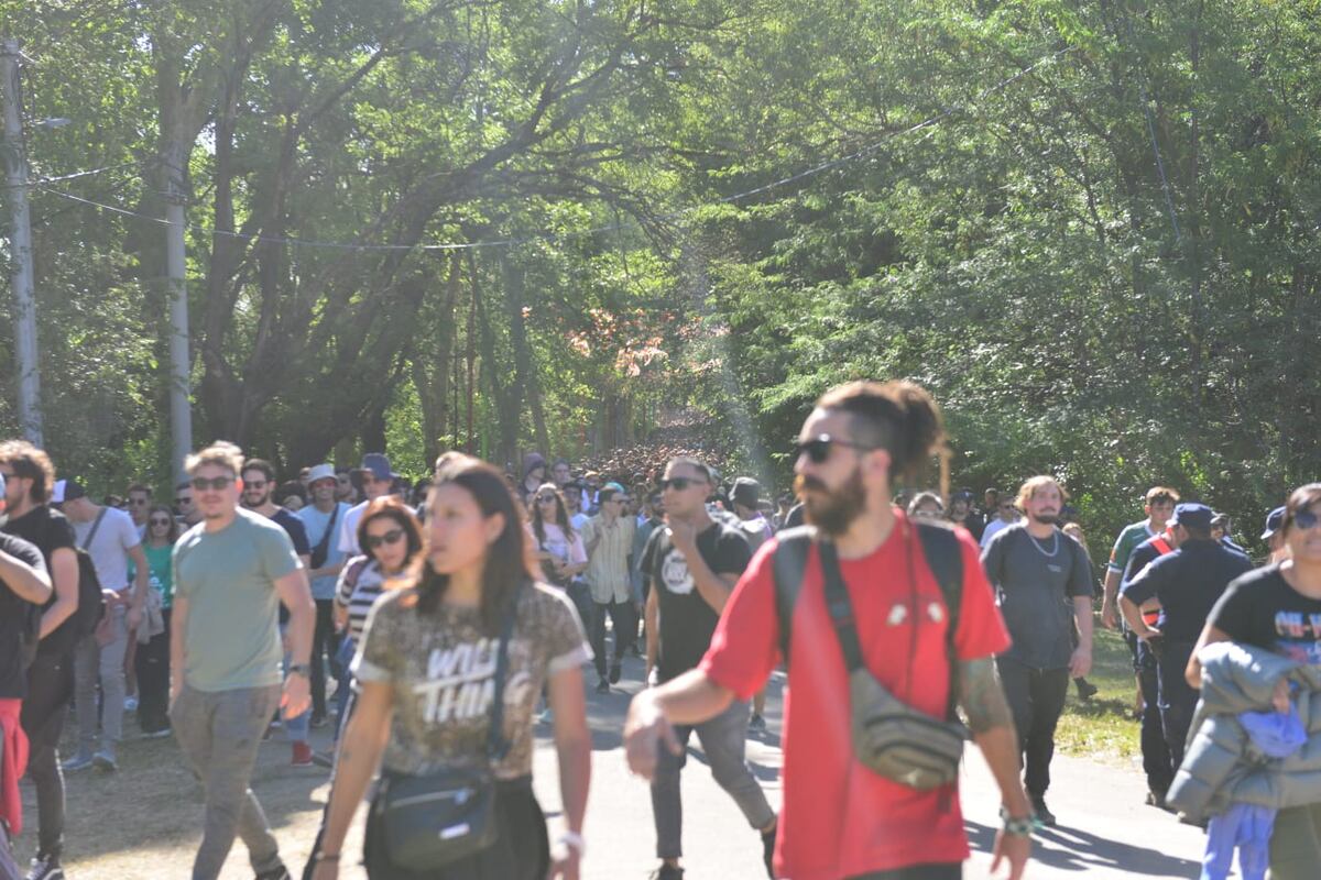 El clima en Córdoba: cómo estará el tiempo este domingo 19 de febrero