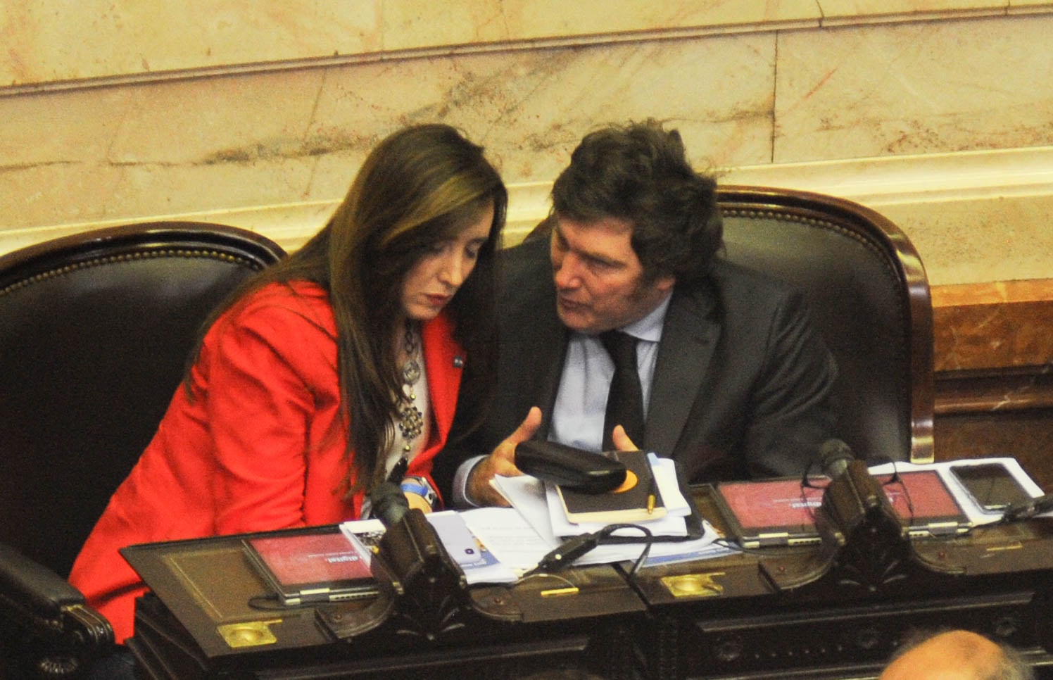 Javier Milei manifestó que las “estrategias gradualistas son inmorales” y que no tiene sentido aplazar la votación a la semana entrante. Foto Federico López Claro.