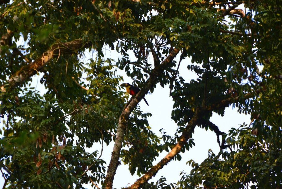 Firmaron convenio para  la puesta en valor de la reserva Monte Seguín en Puerto Rico