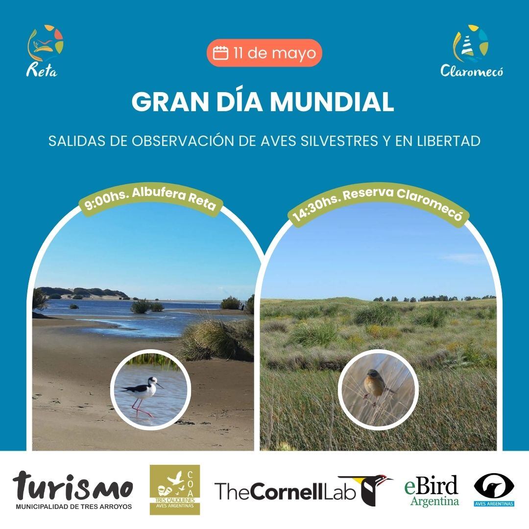 Jornada de avistaje de aves en Reta y Claromecó