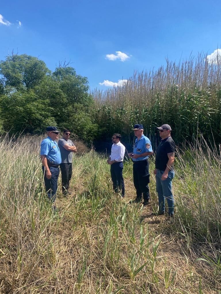 El rastrillaje se realizó en la zona de Impira. (MPF)