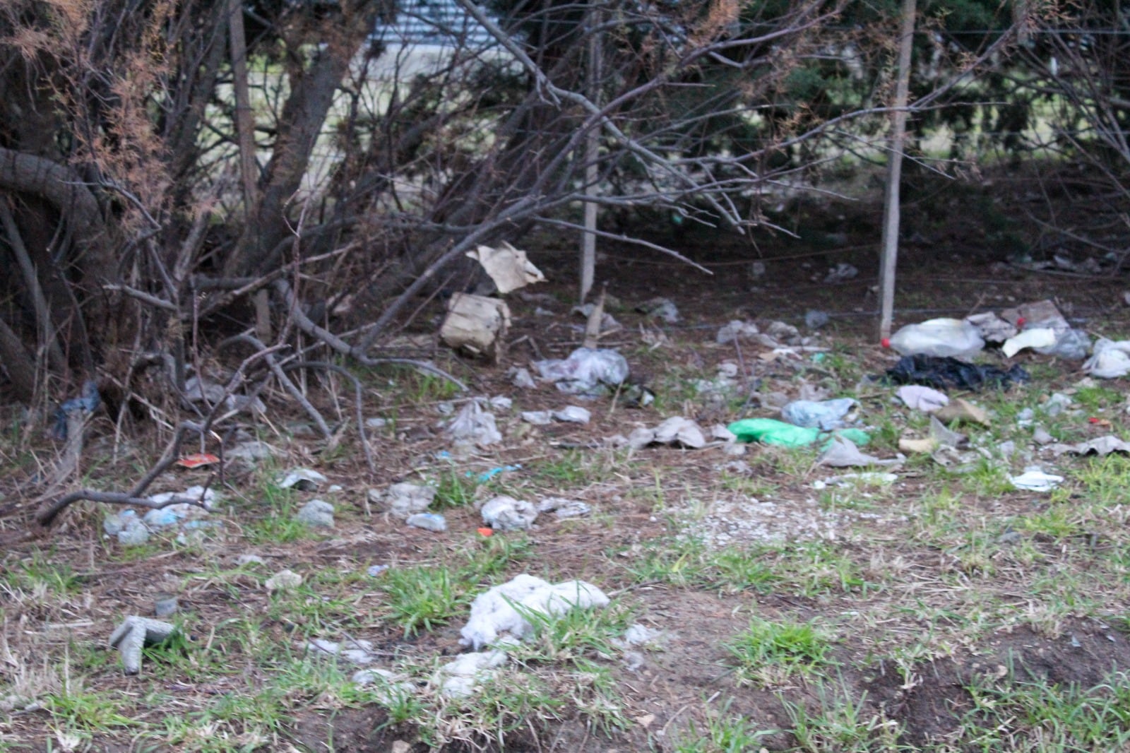 Higiene Urbana trabaja en un predio de calle Liniers al 1700