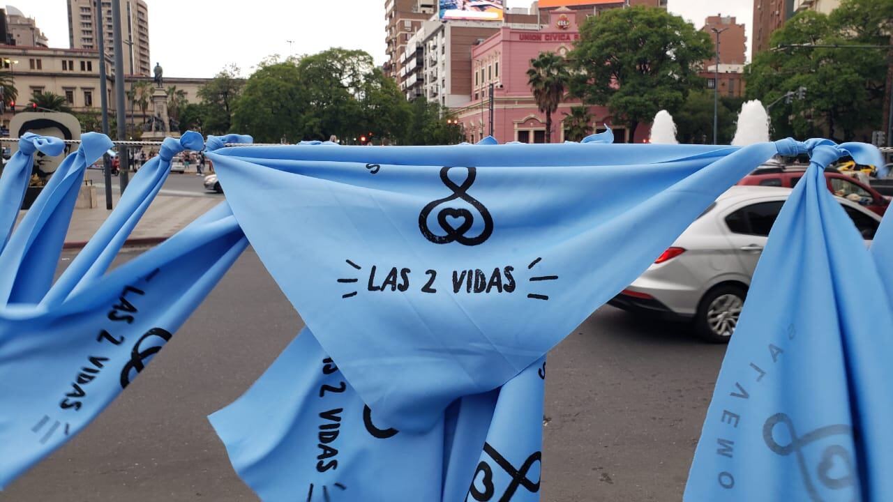 Numeroso grupo de personas marchó en Córdoba contra la legalización del aborto.