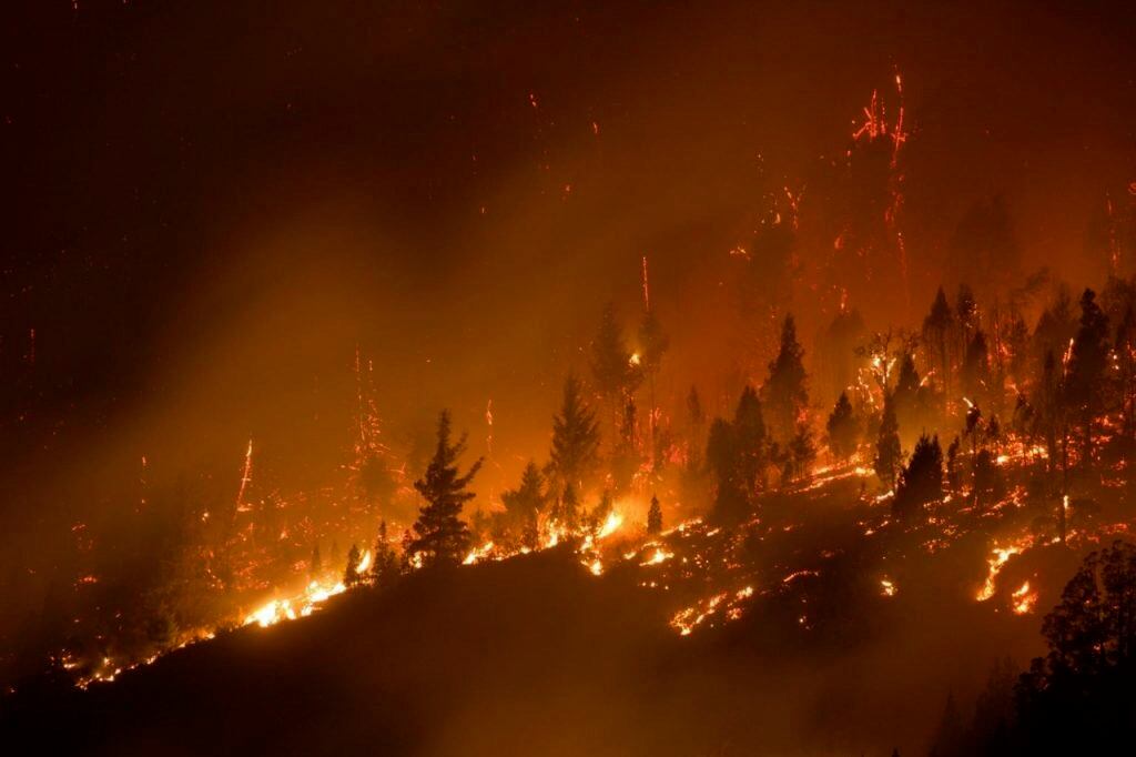 Los incendios forestales afectaron las provincias de Río Negro y Chubut.