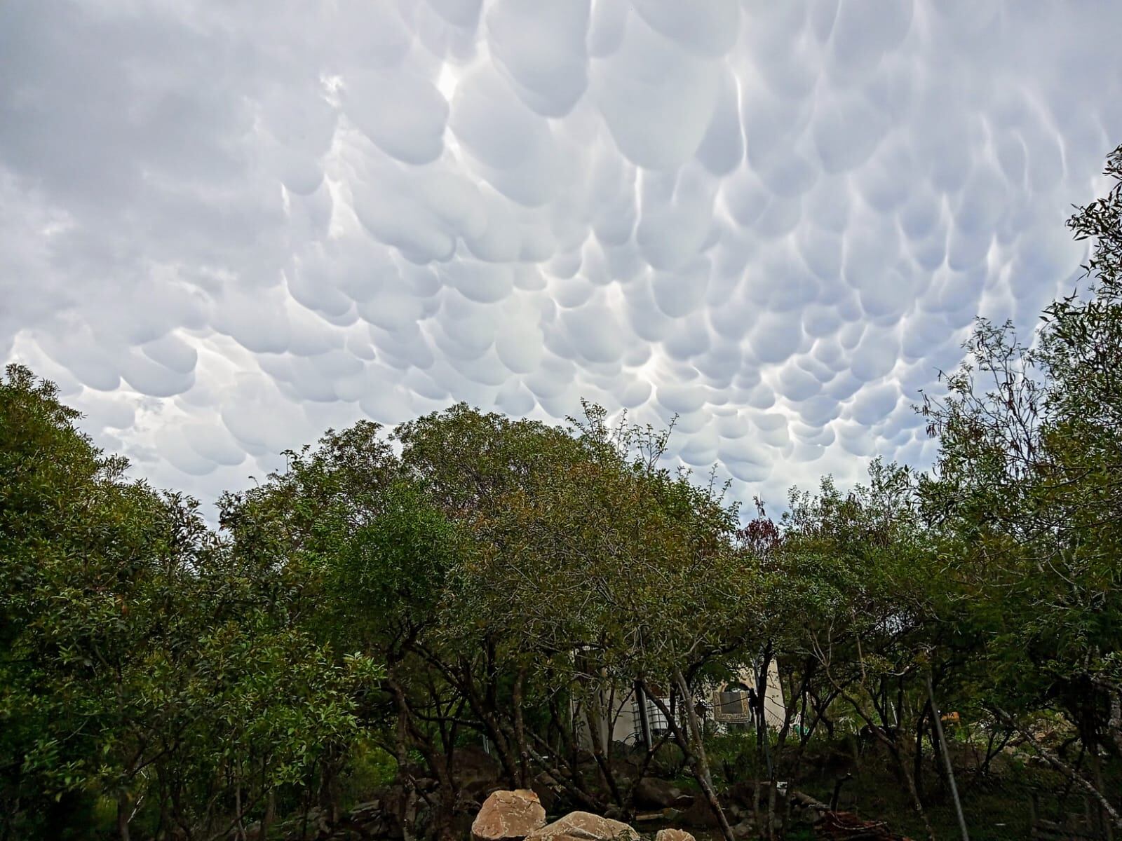 Nubes mammatus. En Unquillo.