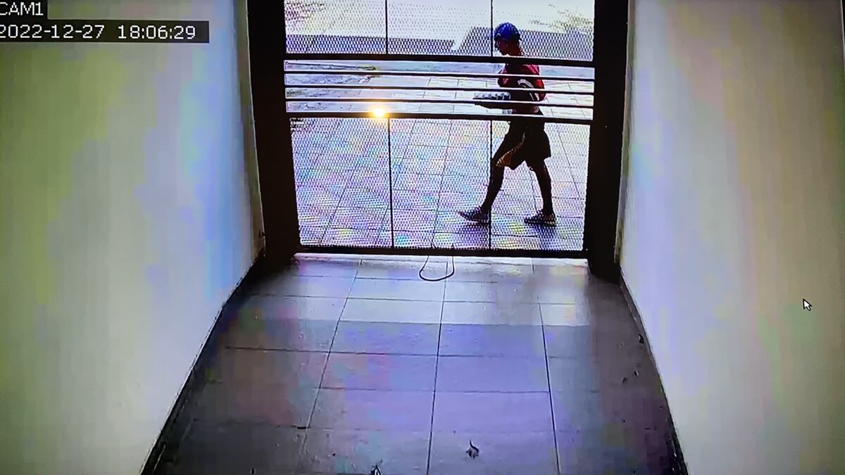 Insólito en Córdoba: dejó apoyado un maple de huevos en la verja de la casa ¡y se lo robaron!