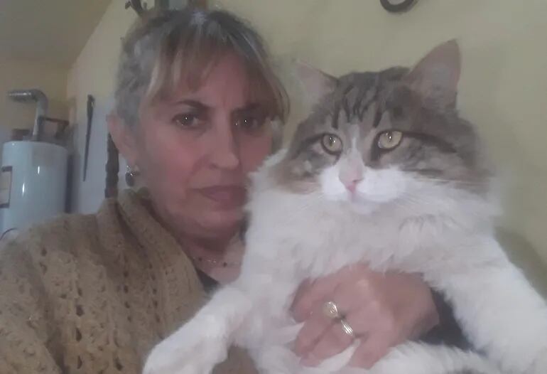 "Chiquito" el gato que pesa 9 kilos, junto a su dueña.