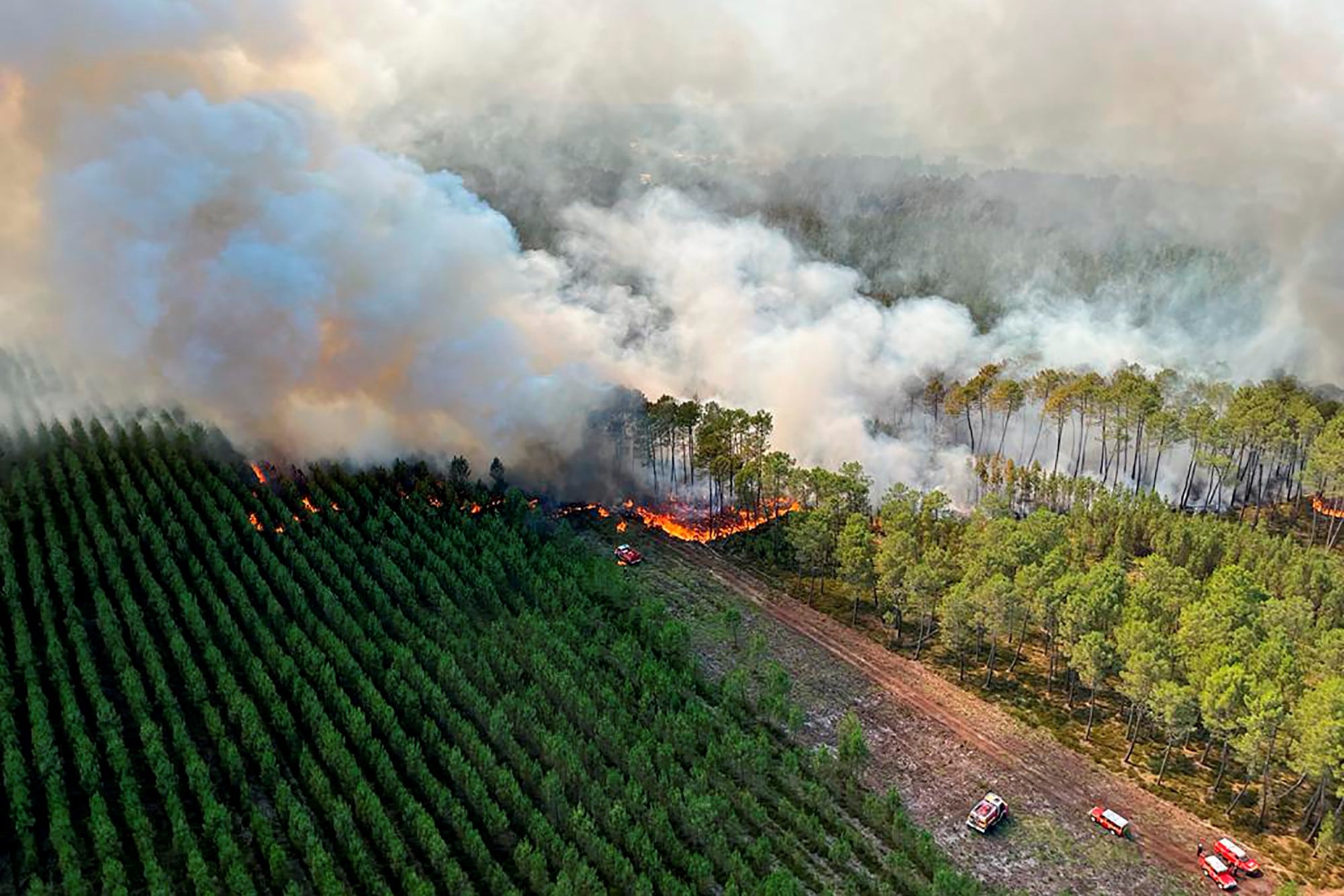 Incendios en Francia por la ola de calor. 