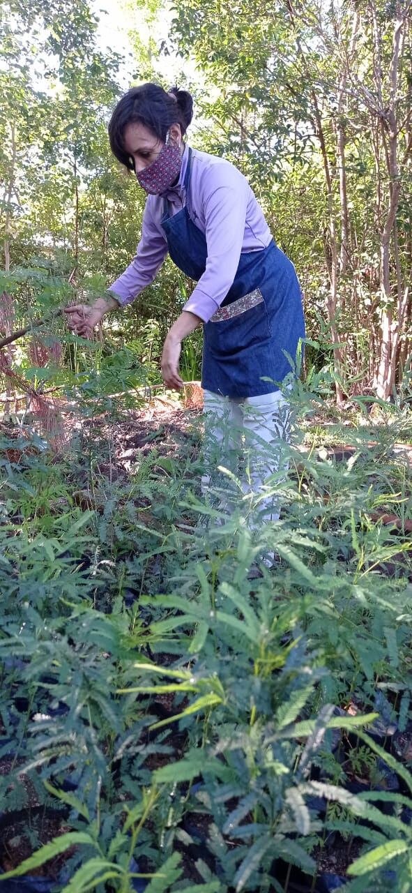 Trabajo de mantenimiento en el vivero municipal de Carlos Paz.