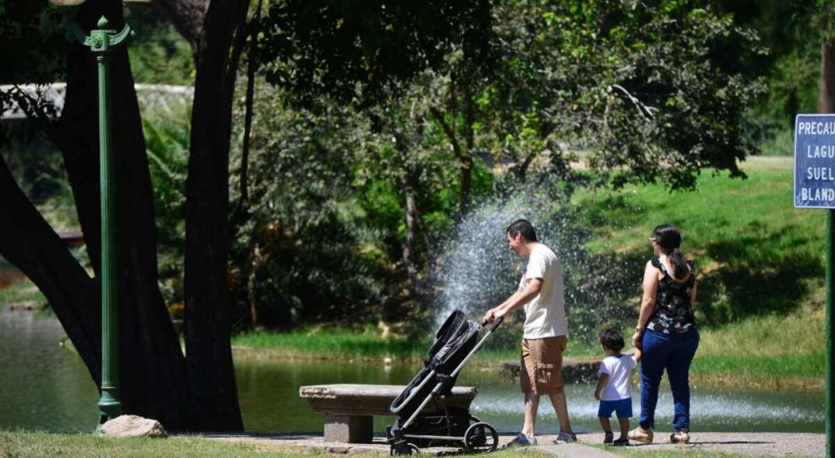 Clima en Córdoba: viento norte y ‘calorcito’ en este domingo 2 de octubre