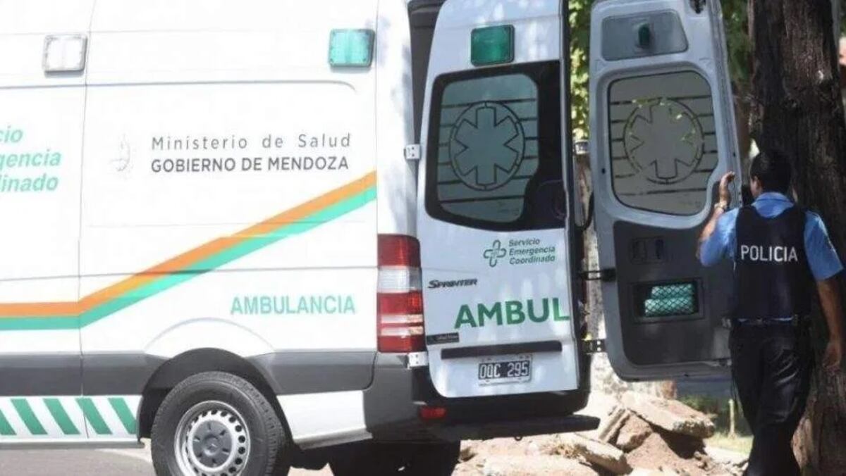 Iba en moto, salió a la ruta y se lo llevó por delante una camioneta