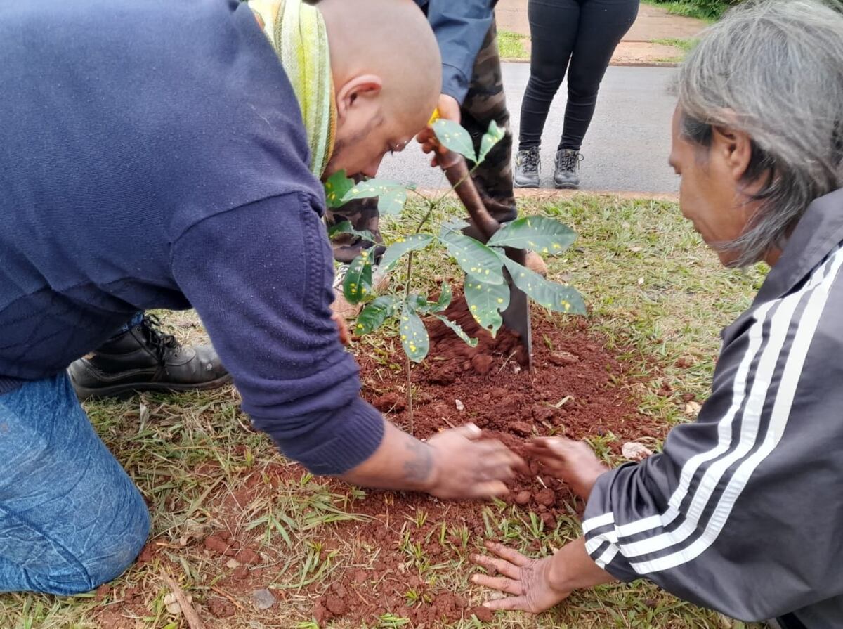 Jornada de plantación de árboles nativos en Puerto Iguazú