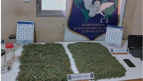 Allanamiento antidroga en Tres Arroyos: secuestran 1,5 kg de marihuana y 531 semillas de cannabis.