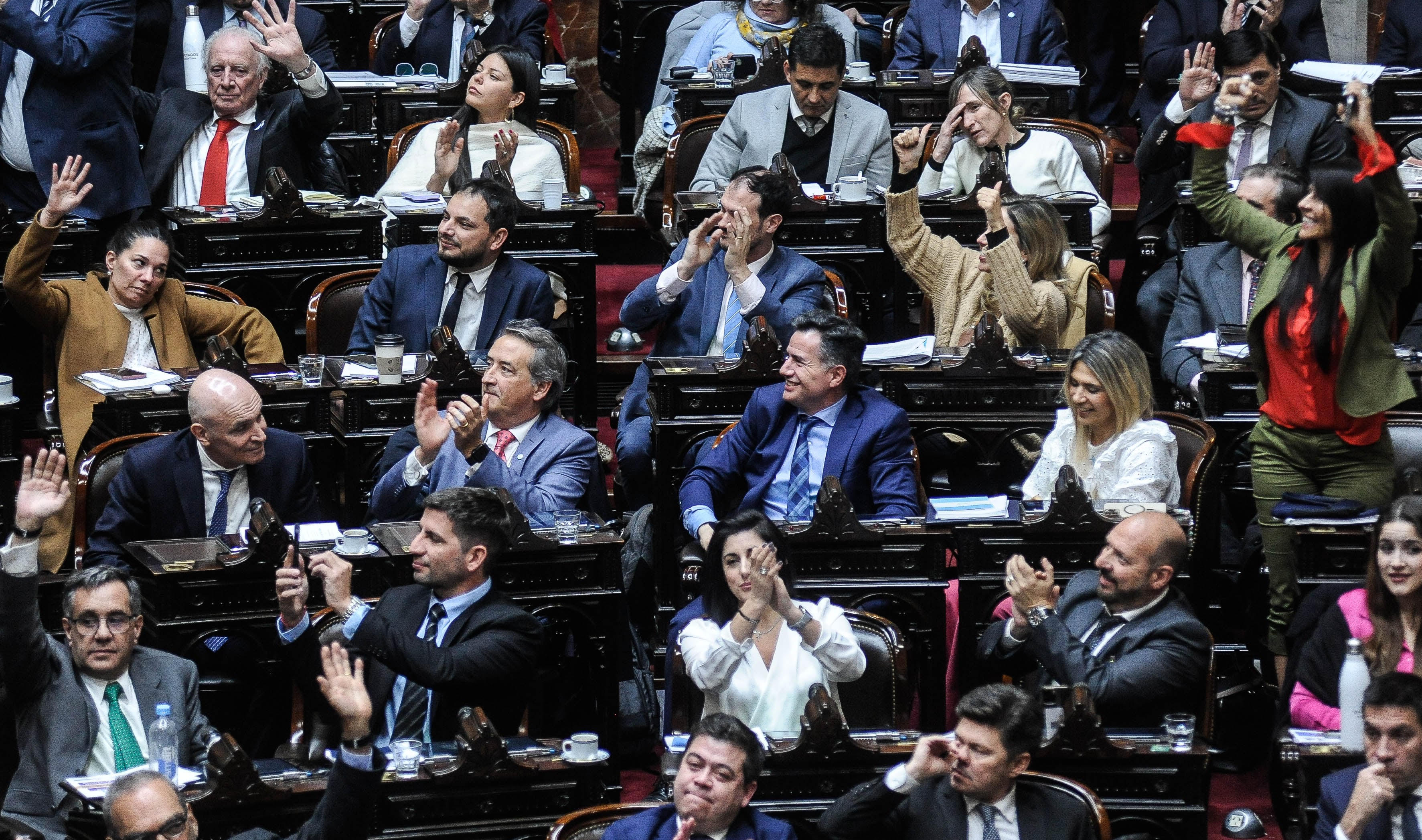 Bloque oficialista en la votación en Diputados de la "ley Bases" y el paquete fiscal. Foto Federico Lopez Claro 

