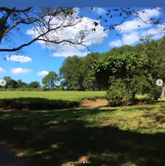 La modelo mostró parte de la vegetación que rodea a su casa de la infancia que se encuentra en Misiones / Foto: Instagram