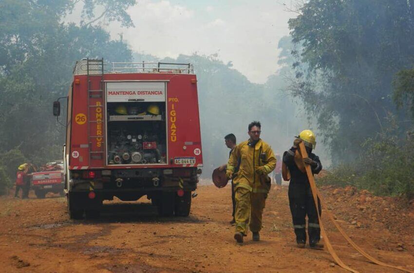 Reserva de Biosfera Yabotí: un detenido tras provocar incendio en el predio.