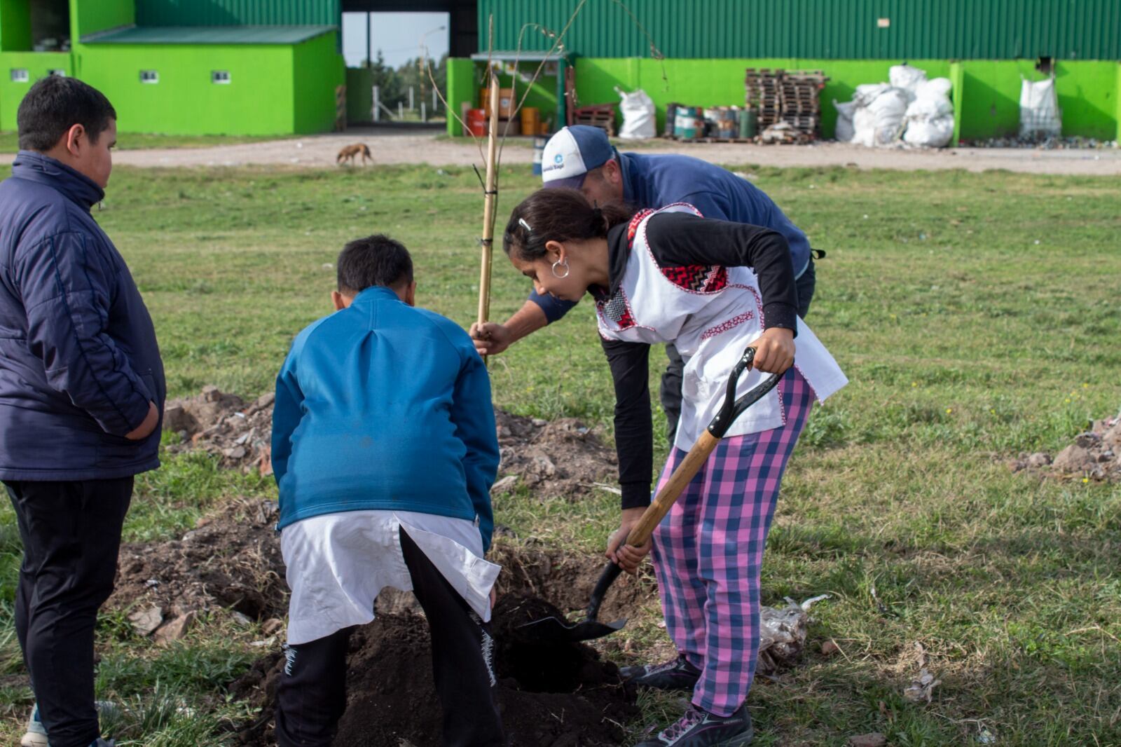 En el Día Mundial del Reciclaje alumnos de escuelas de Tres Arroyos plantaron árboles