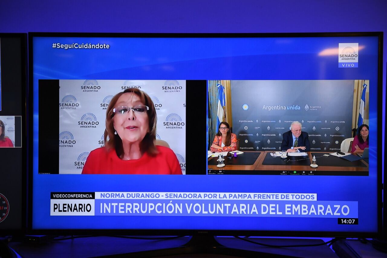 Reunión plenaria de las Comisiones de Banca de la Mujer, de Justicia y Asuntos Penales y de Salud del Senado de la Nación en la que participaron la Dra. Elizabeth Gómez Alcorta; Ginés González García y Dra. Vilma Ibarra. (Foto: Juan Carlos Cárdenas / Comunicación Senado)