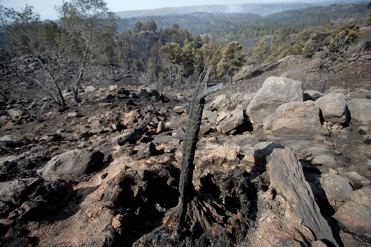 Así se ve el paisaje de El Durazno, tras el paso del fuego. (La Voz)