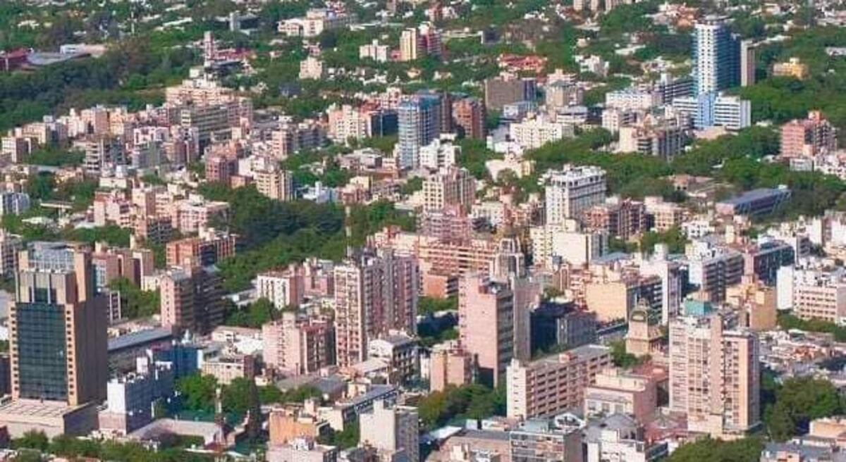 Un mendocino hizo viral una fotografía desde arriba mostrando la majestuosidad de los árboles que copan Mendoza