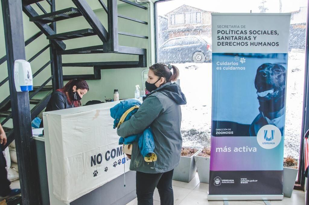 De los distintos barrios de la ciudad se esterilizaron más de 70 animales, hubo  colocación de  chips, vacuna antirrábica y entrega de antiparasitarios.