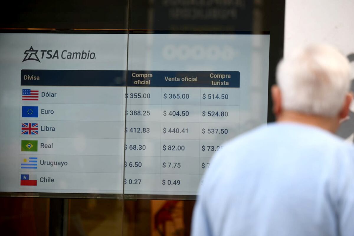 Dólar blue en Córdoba, después del batacazo de Milei en las elecciones Paso: a cuánto cerró la divisa