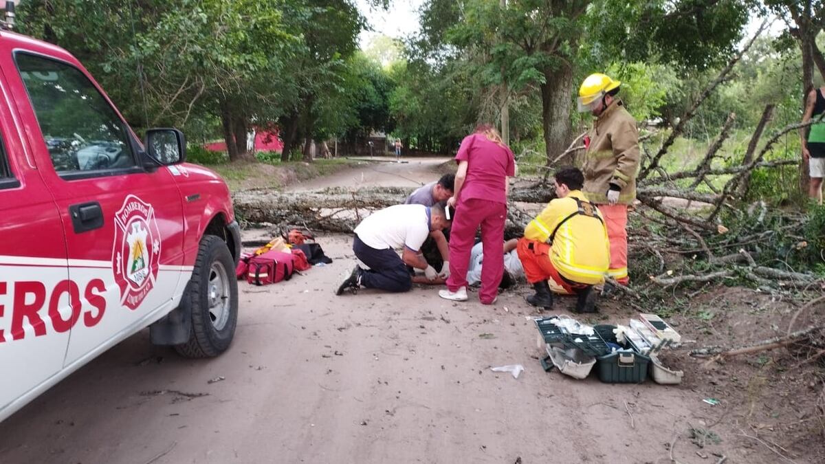 Un árbol le cayó encima mientras caminaba por la calle en las Sierras de Córdoba