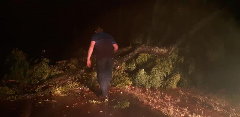 Varios destrozos por inclemencias climáticas en Montecarlo y Colonia Mado.