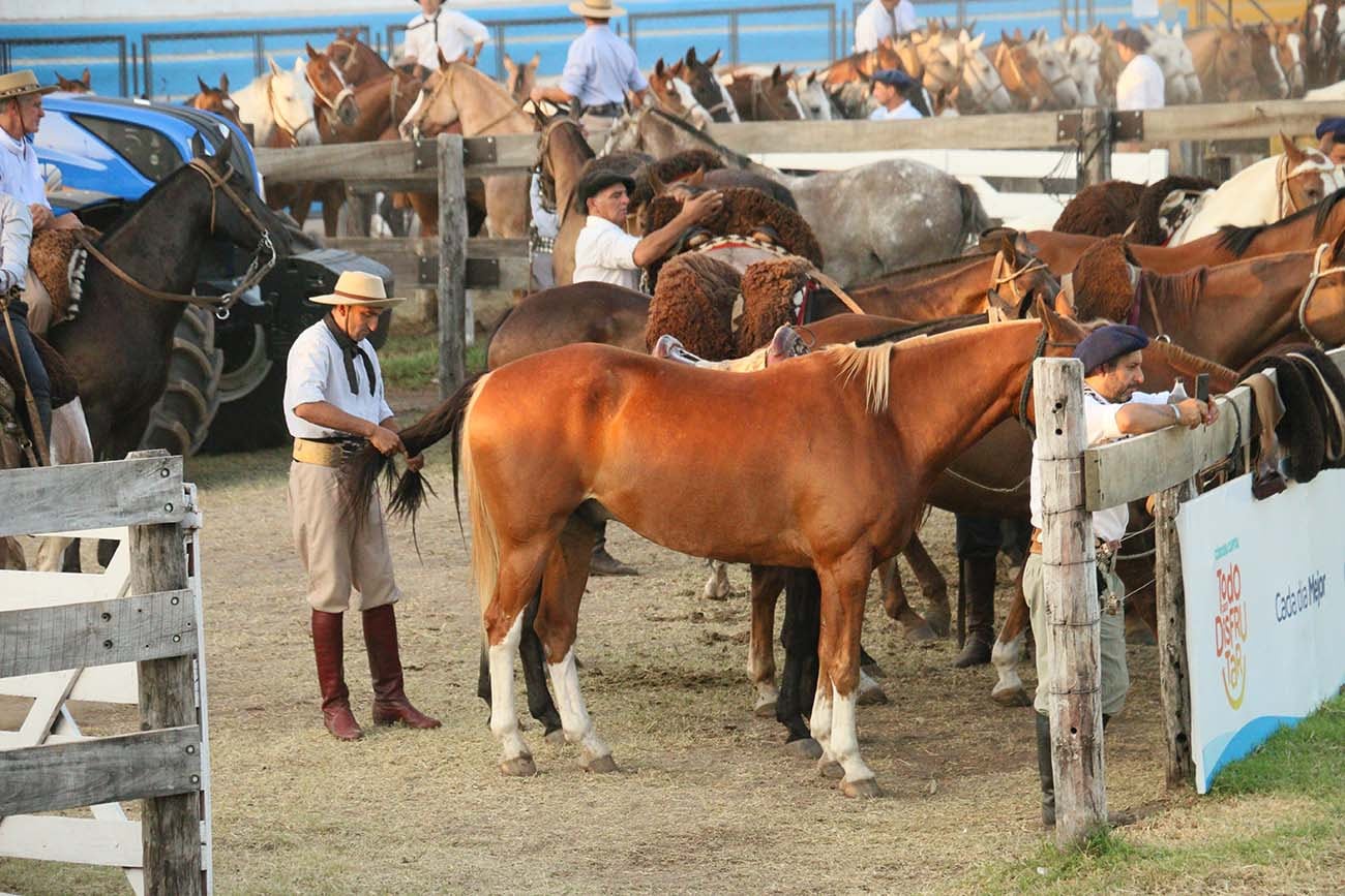 La organización del Festival está expectante a las instrucciones de Senasa.