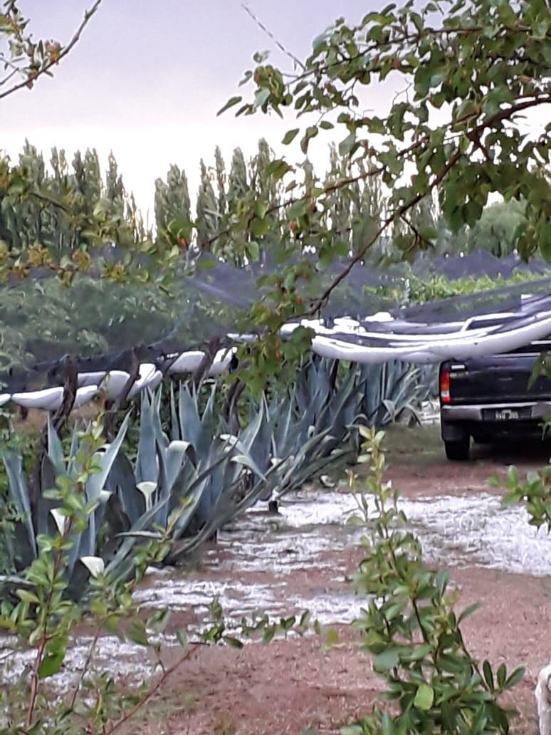 Viento, lluvia y granizo provocaron daños en distintas zonas de San Rafael. Gentileza 