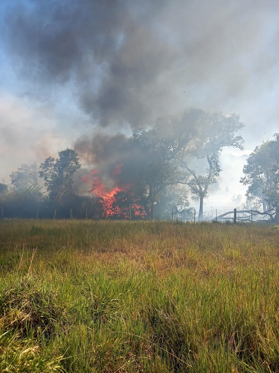 Los incendios forestales arribaron hasta Montecarlo y los vecinos debieron ayudar a los Bomberos.